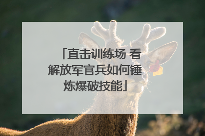 直击训练场 看解放军官兵如何锤炼爆破技能